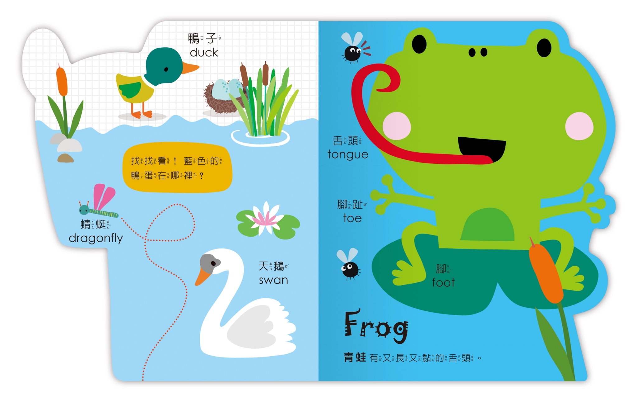 Amazing!變形動物認知書